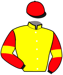 Casaque de HOLDEM POKER