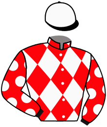 Casaque de SUCKING DIESEL