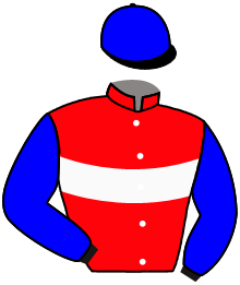 Casaque de RIO D'OCTOBRE