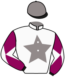 Casaque de BREIZH WOOD