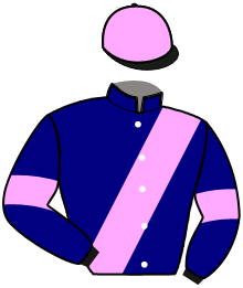 Casaque de LEODAGAN DU BOURG