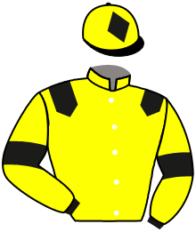 Casaque de PERFECT TRIO