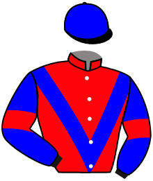 Casaque de SHINNING MOON