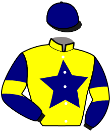 Casaque de GUERRIER DE BRETT