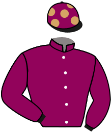 Casaque de FRENCH DEFENSE