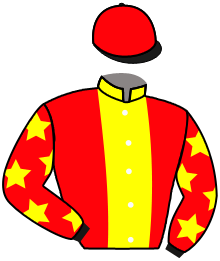 Casaque de SWING FOR ME