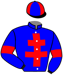 Casaque de MADE BY DE HOUELLE