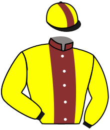 Casaque de CATCH THE STARS