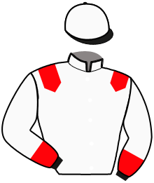 Casaque de EASY COMPANY