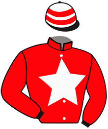 Casaque de GUINNESS DU VALLON