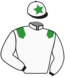 Casaque de GREEN FALCON