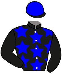 Casaque de GREAT PROMISE