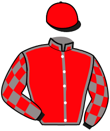 Casaque de MALDRIC D'ECHAL