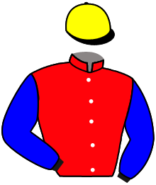 Casaque de BESAN D'OR