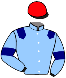 Casaque de MAGIC AMERICA