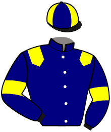 Casaque de INVICTUS DE HOERDT