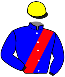 Casaque de LOYAL DU PONT