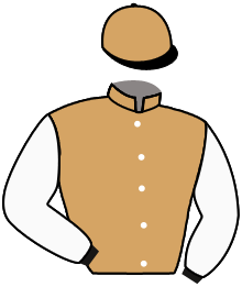 Casaque de VICTORY CAT