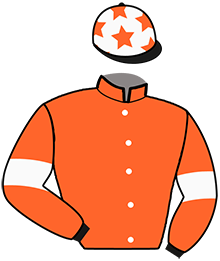 Casaque de GREAT STUDBAKER