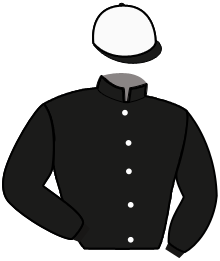 Casaque de LA FEE DU NOYER