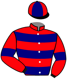 Casaque de CHATAIGNIER