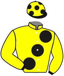 Casaque de ROSALLION