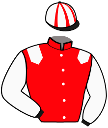 Casaque de HOLD OF COMTAL