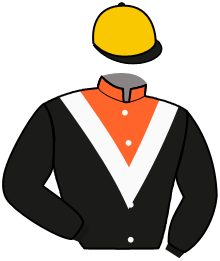 Casaque de SPECIAL WOOD