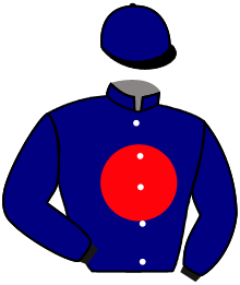 Casaque de LION KIRIKOU