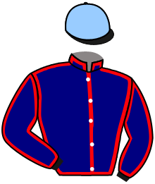 Casaque de LUTTEUR BAIE