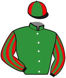 Casaque de JOYEUSE D'ATOUT