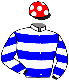 Casaque de DIAMANTINE