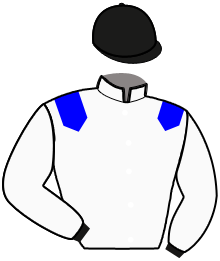 Casaque de IRONWOOD PARIS