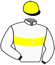 Casaque de IDEAL DU CHENET