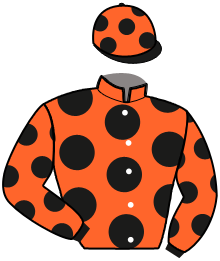 Casaque de GATSBY WIC