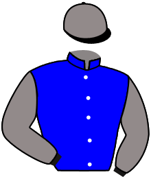 Casaque de WE CAN DO IT