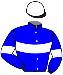 Casaque de GEANT D'OCCAGNES