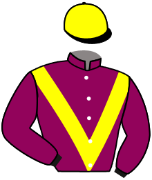 Casaque de HOKUSAI VALLIS