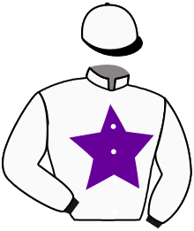 Casaque de GREAT PARADE