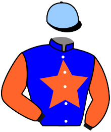 Casaque de LE LION D'ANJOU