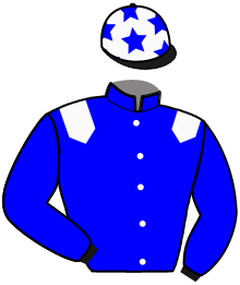 Casaque de GIANT MADRIK