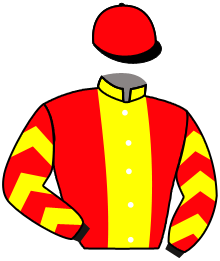 Casaque de WHITE BIRCH