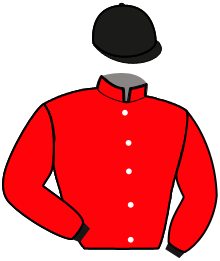 Casaque de LEWIS PARK