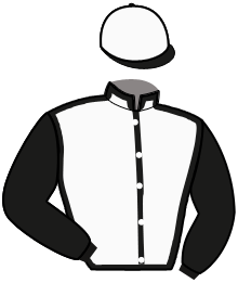 Casaque de IDEAL D'ATTAQUE