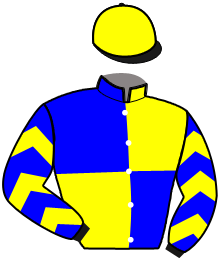 Casaque de IRON PARKER