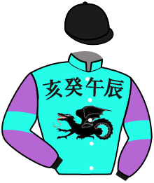 Casaque de DALECARLIAN