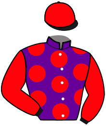 Casaque de HAVANO DU THAY