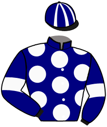 Casaque de IPSOS LAND