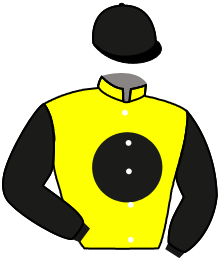 Casaque de HELLO BALL