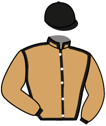 Casaque de GO FAST DU BERLAIS